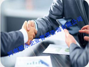河南專業管理咨詢 薪酬設計公司的信息咨詢服務價值解析